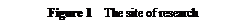 ??????: Figure 1  The site of research